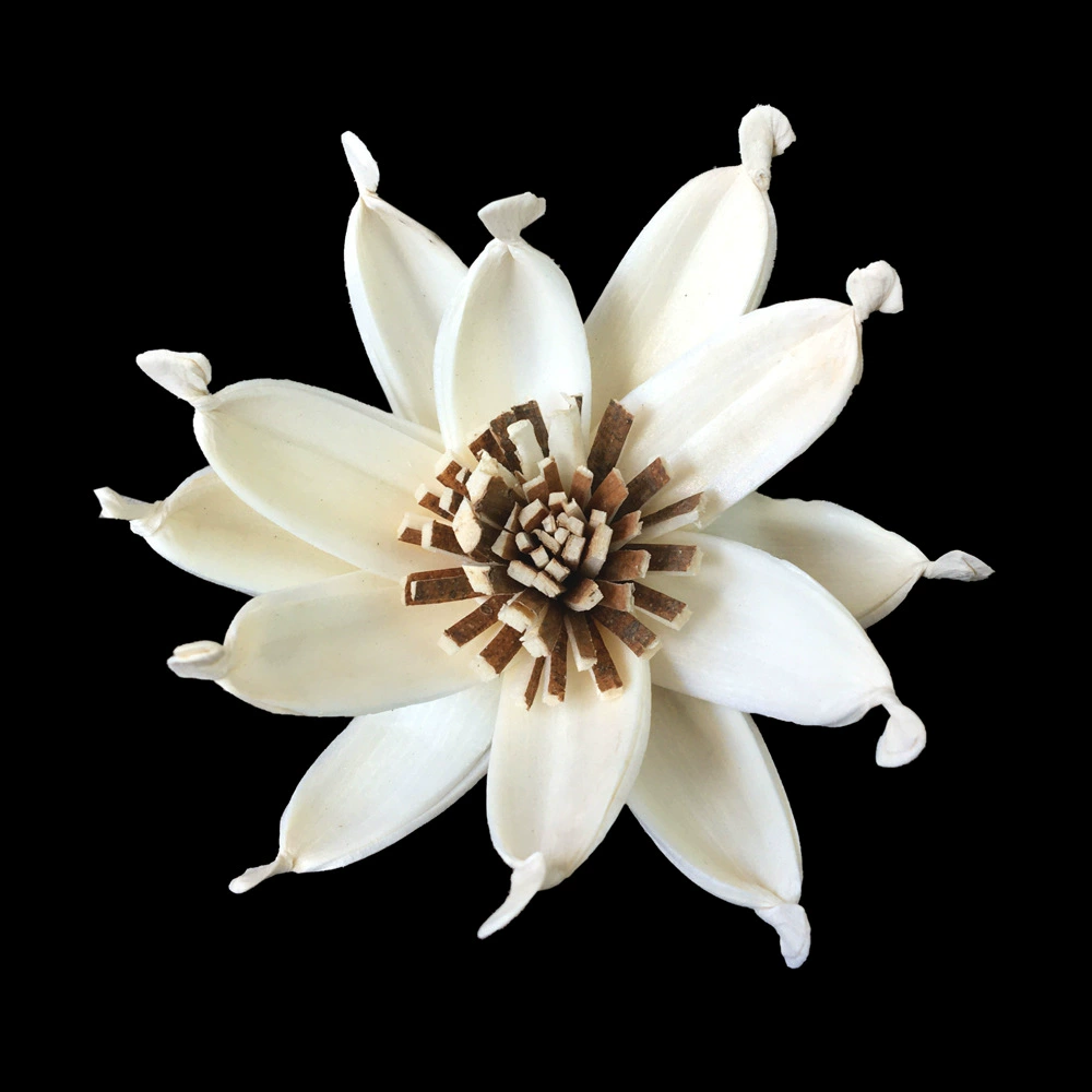 В наличии оптом | 6 см ротанг ароматерапия Цветок гардении имитация национального прилива китайское цветочное украшение с травяными цветами