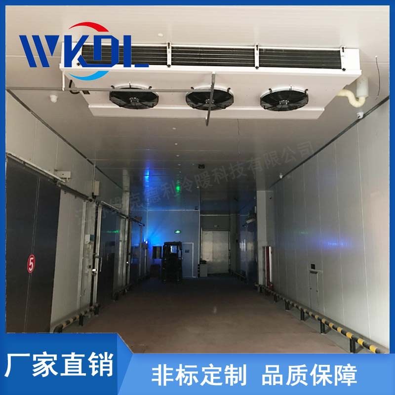 厂家直销高效节能型双侧出风冷风机翅片式换热器食品冷库冷风机