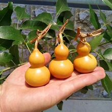 ������J�@ָ���ְѼ���ɫ���{�ɴ��_�ƺ��J�[��������Ȼ���J