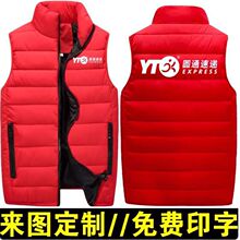 秋冬季新款棉马甲男女同款短款纯色立领拉链马甲活动义工背心棉服
