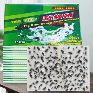 Fly Stickers, Strong Sticky Fly Paper, Sticky Fly Board, Mosquito Sweep, Household Fly Killer, Trap, Nemesis, Flying Insects, Fruit Flies