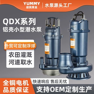 QDX潜水泵家用清水泵高扬程220v抽水泵农田灌溉大流量小型井水泵