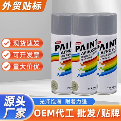 400ml computer color automatic Avtomobil boyası