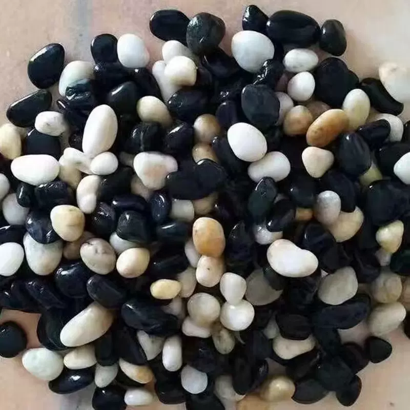 厂家供应鹅卵石 园林工程造景铺路各种型号抛光石子小砾石水洗石