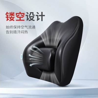 Driver's Seat Backrest and Waist | Waist support