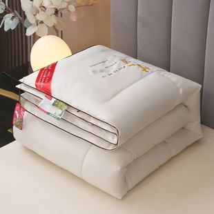 Dropshipping Miaozan's New Washed Silk Aai Velvet Feather Silk Quilt Quilt Core White Internet Celebrity