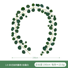 ��������~�ȼ����ٗl ��c���չ��T�b�LEDܛ���ȼ�����E18