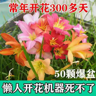 �L���m�N���ذ���m�[�m����ʯ���҃����ļ����ܾGֲ����ů������