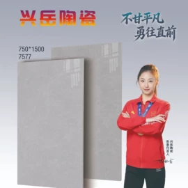 地面砖;内墙砖;砖瓦及砌块