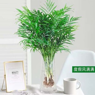����Ҭ��ˮ��Gֲ�︻�F�Pβ���^�~���Կ͏d�k���҃�������B�ļ�