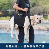 Amazon New Dog оказала помощь в упражнении по восстановлению собак пожилой собаки, которые помогли с оптом