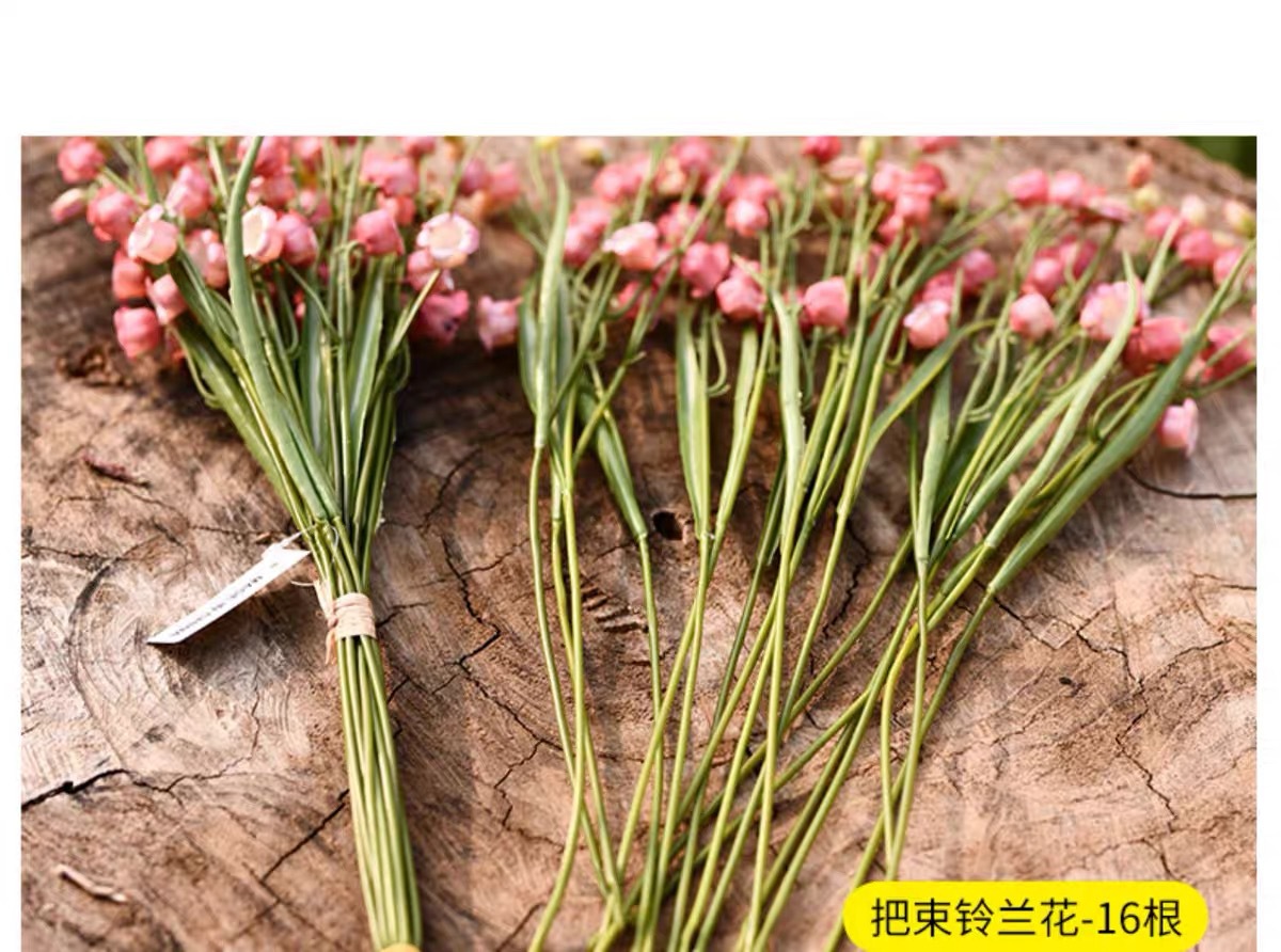 微信图片_20231104120016.jpg