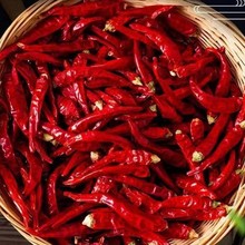 精选干辣椒香辣红辣椒干朝天椒特辣指天椒火锅料批发