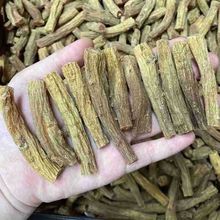 �n���N���������ȸ����t�����΅���������Ƭ�ݾ��Ҝ��υ����˅�