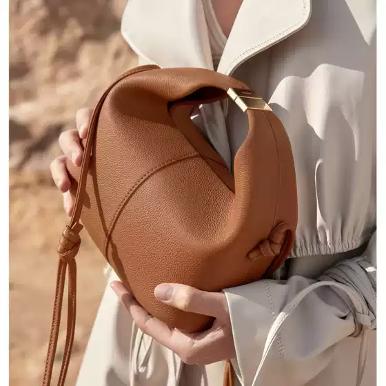 Polene Lunch Bag, Polene Genuine Leather French Niche Shoulder Crossbody Bag, Béri Cowhide Women's Bag
