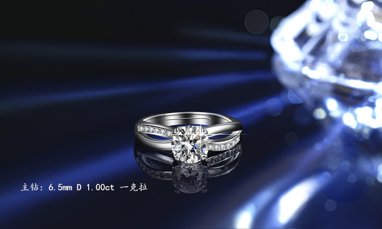 _DSC8736 拷贝_副本