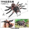 BY8062 White Painted Spider (Solid TPR material)