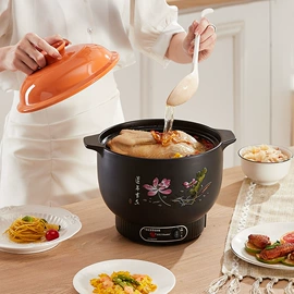 养生壶;电炖锅;电热炉