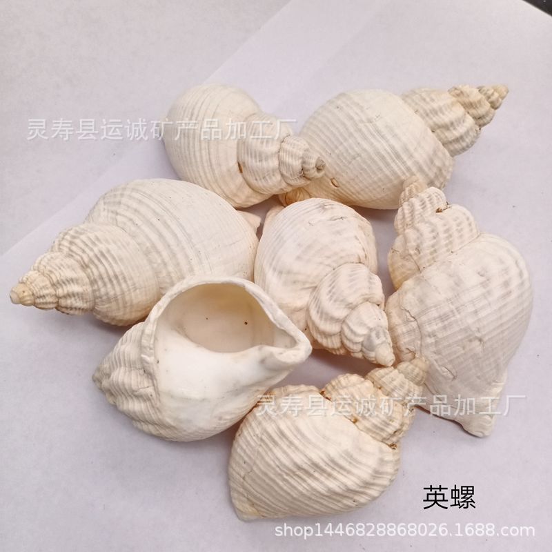 IMG_20210903_144559_副本