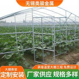 大棚骨架种植大棚骨架全套养殖大棚鸡棚养猪棚蔬菜大棚花卉育苗棚