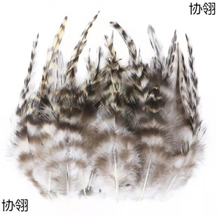 ��ë�����Ʒ���Ұ�uë��ë��؈������䁉��W��ȸ�{Ƭ