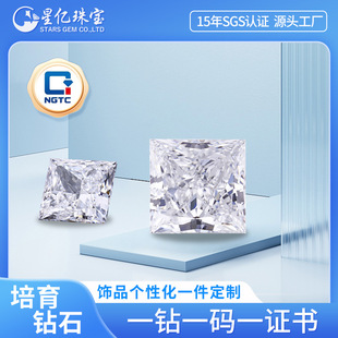 Ngtc Princess Cut Cultured Diamond National Inspection Certificate Synthetic Diamond Factory Inlaid Loose Diamond Jewelry Pendant Ring