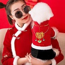 金锁绣花盘扣新年四脚棉衣小型犬外出加厚保暖四脚宠物狗狗衣服批