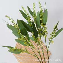 仿真手感桉树尤加利手感小米果桉树叶带果设计软装花艺样板房花艺