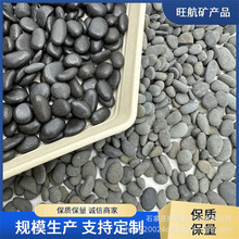 SlFđɰڹɳˮ~䁵^V@ˇ@쾰ʯʯ