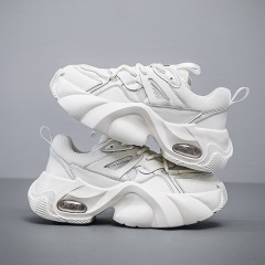 Men's Shoes: Platform Loafers, Spring 2024, Motorbike Dad Shoes, Thick Sole, Sporty Mesh, Casual, Dropshipping One Piece