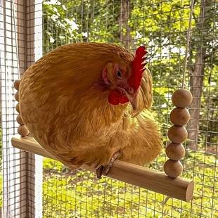 �����uС�u���u�����ǧľ�������ǧ�����B���