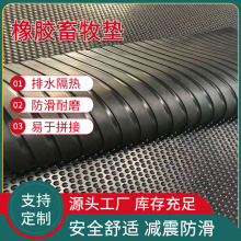 ���I���z��Ӻ������ˮ��ˮ�A�c�Bֳ�������|ţ��|���i���؉|