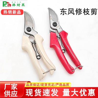 Dongfeng 201b Cruning Shears Многофункциональные фруктовые дерева