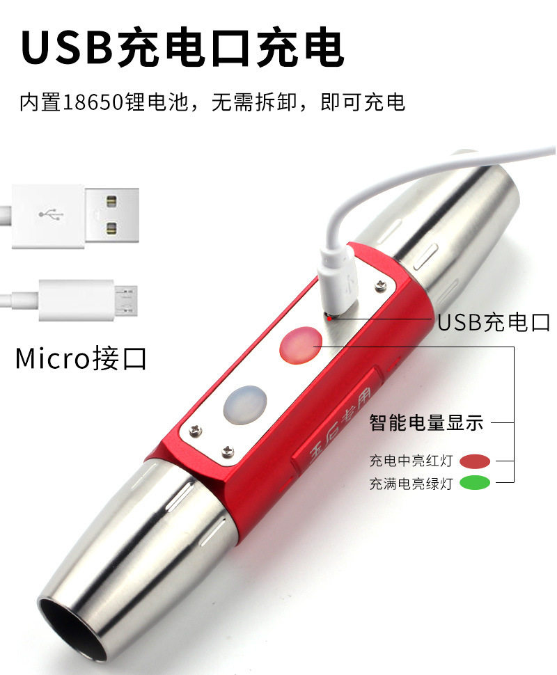 Jade Identification Lamp with Four Light Sources, USB Charging, Stainless Steel Flashlight for Jade and Antique Identification