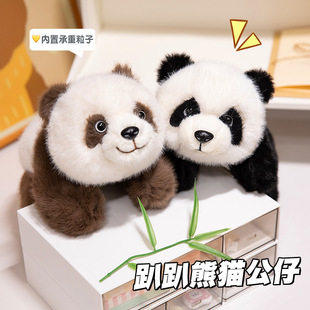�ɐ�ſ����؈ë�q���С��؈ſ����ż���������ѶY�﹫�п����l