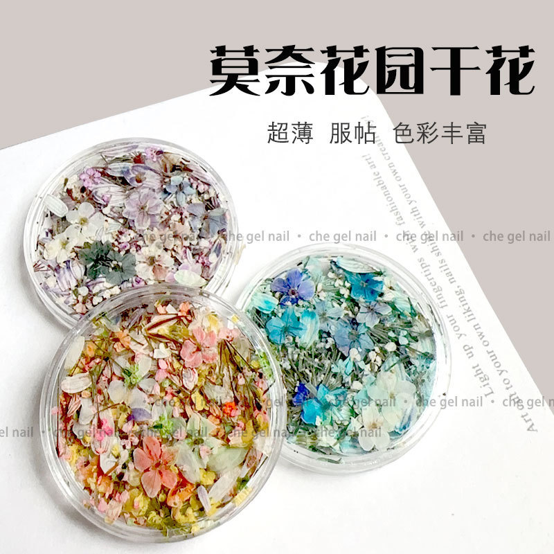 Japanese blc Monet Oil Painting Dried Petal Nail Art Ins New Style Small Flower Tulip DIY Nail Decoration