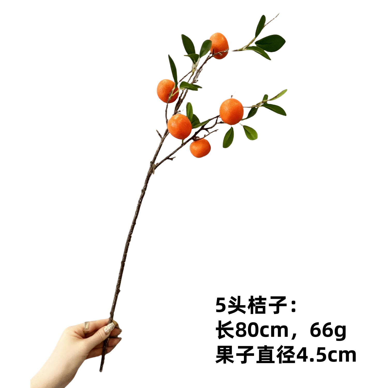 오렌지 가지 5개