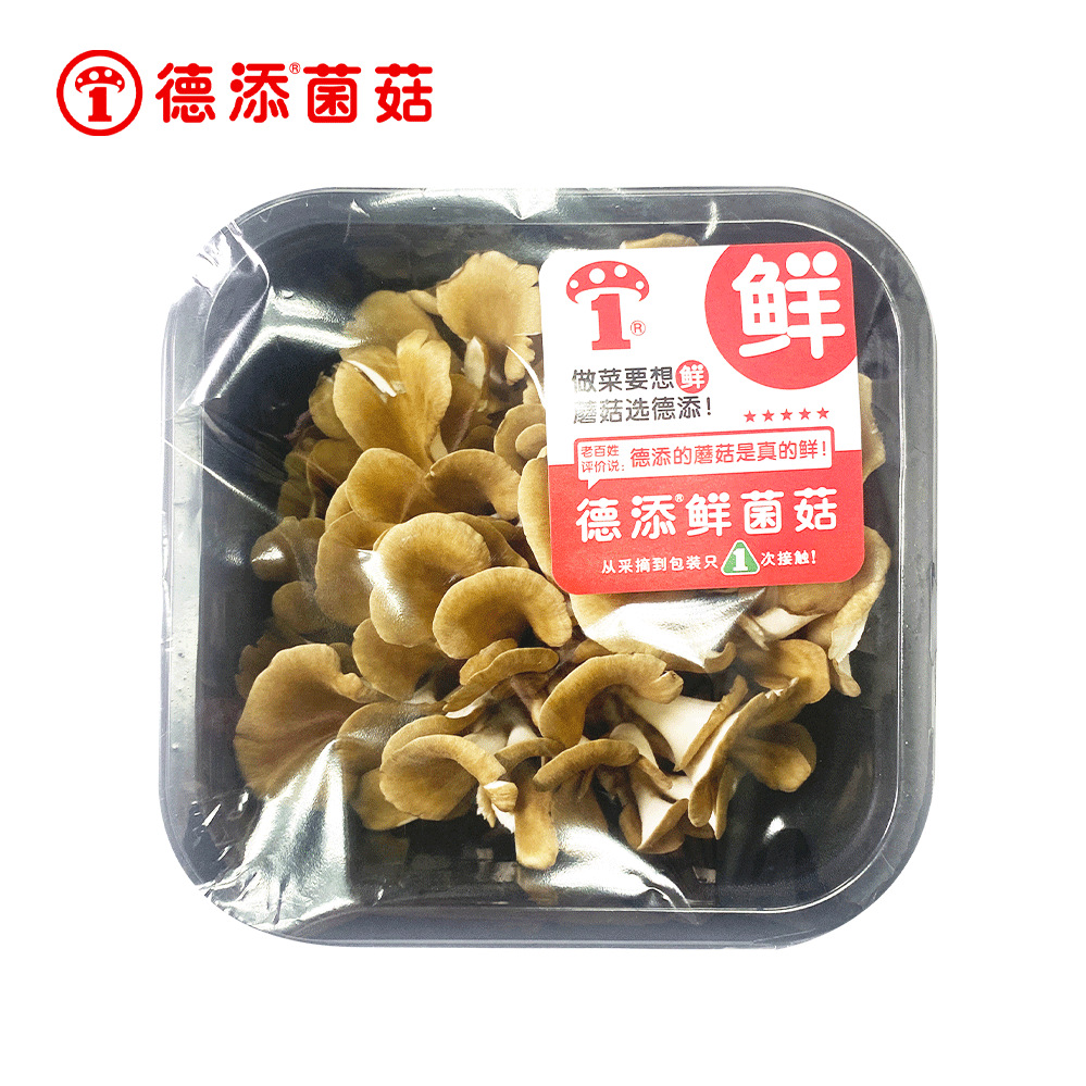 춤추는 버섯 150g*1박스