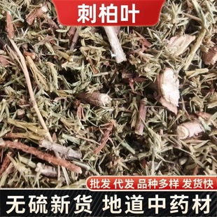 Herbals�̰���ș�����ش̰��~����ș��ԡ����Ͳż��䱳���l���l