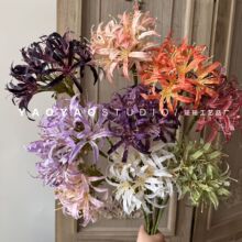 ��֦����ɏ �˰������滨���L���յ���Ӱ�Ƿ��b��ٻ����������