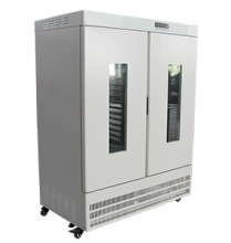 UROP/������ ����șƷ������ԇ���ș�ﷀ����ԇ���