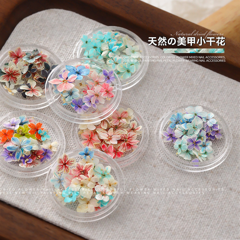 网红美甲干花夏日渐变花朵混彩天然压花干燥DIY盒装穿戴甲材料品|undefined