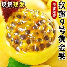 黃金百香果欽蜜9號大果孕婦新鮮水果現摘批發1/2/3/5斤甜黃雞蛋果
