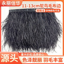 厂家直销鸵鸟毛布边11-13cm黑色彩色鸵鸟羽毛条毛鸵鸟毛布边批发