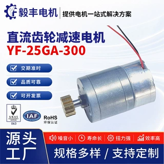 25GA300齿轮减速电机智能锁行星减速电机高扭力新能源电动马达