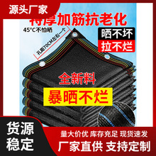 ͥԺ����W�Ӻ�ھW̫ꖾW���������ꎾW��ꖾW�ڹ���ꖑ�����