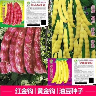 �S���h�t���Ͷ��ǷN�Ӵ���Ͷ��ļ����o��ܶ��ļ��߲˷N�Ӵ�ȫ