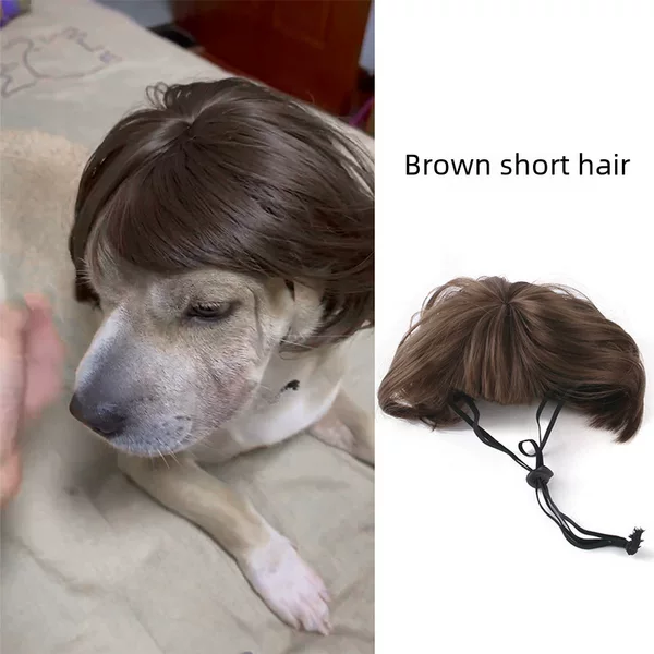 Pet wig dog wig cross-border pet supplies Halloween pet jewelry curly hair straight hair cat wig