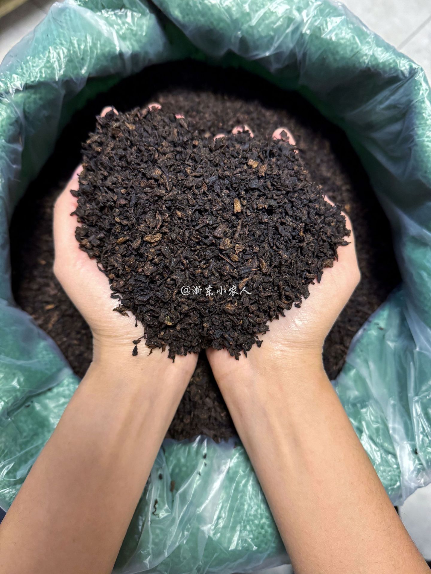 微信图片_20241213182035