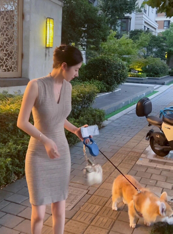 御姐气质v领针织背心连衣裙女装夏季新款修身显身材收腰包臀裙子|undefined